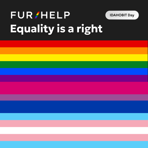 FUR/HELP IDAHOBIT Day 2025 post : FUR/HELP logo on the upper left side of the post Headline: Equality is a right. [Homosexual, Bisexual and Transgender flags are displayed at the bottom to create a one united flag]