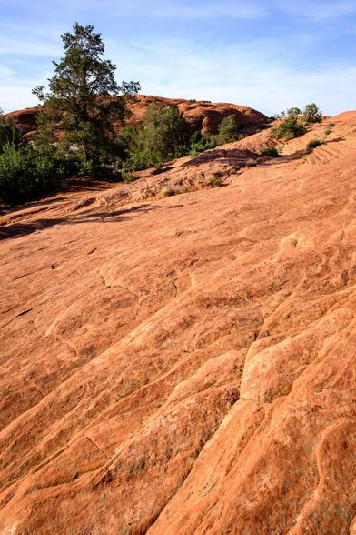 A sloped expanse of textured, red sandstone. In the background, there are several trees and bushes growing on and around the rock, with more red rocky mounds and a partly cloudy sky above.