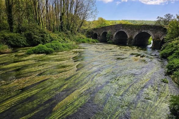 A wide shot shows a historic stone bridge with multiple arches spanning a clear, flowing river. Green aquatic vegetation streams in the current. Lush green trees line the riverbanks on either side, and rolling green hills are visible in the distance under a blue sky with scattered white clouds.