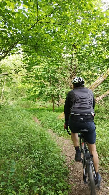 Ein schmaler Waldweg macht eine Linkskurve. Voraus ein Gravelbikefahrer in voller Fahrt.