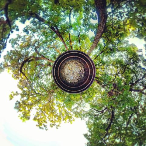 One of a series of photographs showing late-summer scenes from a county park in southern Minnesota.
