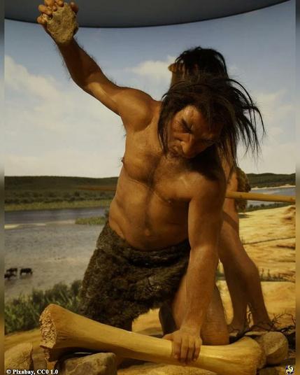 Oldest bone spear tip in Europe, made by Neanderthals, found in Russia

Archaeologists working in the Caucasus Mountains in southern Russia discovered a revolutionary artifact that challenges assumptions held for centuries about Neanderthal technological skill. A bone spear point that measures 9 centimeters in length, recovered from Mezmaiskaya Cave in the North Caucasus region, is now confirmed to be the oldest of its kind discovered in Europe. Dating back 70,000 to 80,000 years, the artifact is a robust indicator that Neanderthals independently developed complex hunting tools long before modern humans...