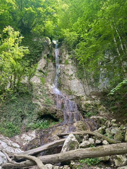 20m hoher Wasserfall zwischen Felsen umgeben von grünen Bäumen