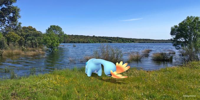 Fotografía realizada con la RA del juego Pokémon GO.
Se ve al pokémon Amaura con la cabeza inclinada hacia abajo oliendo la hierba.
Justo detrás suya se ve el agua del embalse, que llega a zonas en las cuales cubre los troncos de algunos árboles.
Al fondo se ve la carretera que cruza el embalse y mucha vegetación de árboles.
El cielo está despejado.

Amaura es un pokémon de tipo roca/hielo, está basado en un dinosaurio. Es de color azul, sobre su cabeza tiene dos crestas que salen de sus ojos como si fuesen grandes pestañas, son de color amarillo y naranja.