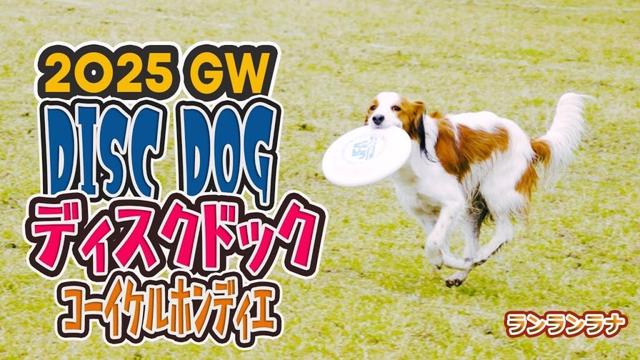 #140  ディスドック大会シーズンラストで求めていた理想形を垣間見たコーイケルホンディエご主人感動（涙）