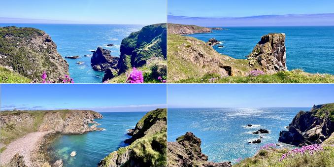 Four photo collage, a bright, sunny, early summer day. Bright blue cloudless skies. A line of pale blue mist sitting out to sea on the horizon. Each photo shows green/grey high cliffs leading down to sparkling bright blue  sea. Some dark grey rocks in the water. All photos except bottom left show bright pink thrift flowers on the edge of the path/cliffs. Bottom left is similar but in a cove with a beige stoney rough beach. All photos are taken from the clifftop footpath.