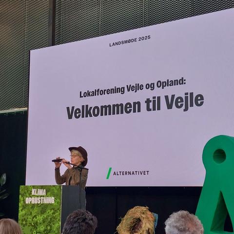 Ida Waage Nielsen holder tale for Lokalforening Vejle og Opland.

Baggrundsskærmen har en fesen lyserød baggrundsfarve. Og der står "Velkommen til Vejle"

Alternativets logo er i bunden.