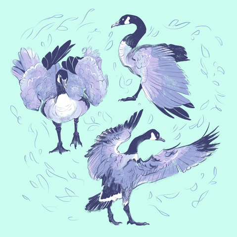 A painting of three Canadian geese, in various poses. The geese are painted in a shade of purple.