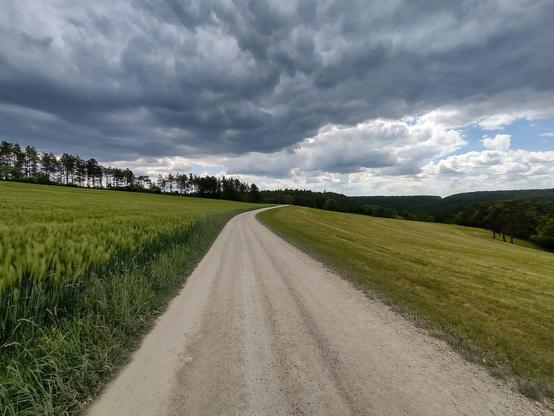 Das Bild zeigt eine ruhige, landwirtschaftliche Szene mit einem weiten, unbefestigten Weg, der sich durch eine grüne Landschaft schlängelt. Der Weg ist von beiden Seiten von weiten Feldern umgeben, die mit grünem Gras und Getreide bedeckt sind. Auf der linken Seite des Weges befindet sich ein Feld mit hohem Getreide, während die rechte Seite von einer flachen, grasbewachsenen Fläche begrenzt wird. Im Hintergrund erstreckt sich eine Reihe von Bäumen, die eine natürliche Grenze bilden. Der Himmel ist bedeckt mit dichten, dunklen Wolken, die auf anstehenden Regen hindeuten, während einige weiße Wolken am Horizont sichtbar sind. Die Landschaft wirkt friedlich und unberührt, mit einer sanften Kurve im Weg, die den Blick in die Ferne lenkt.