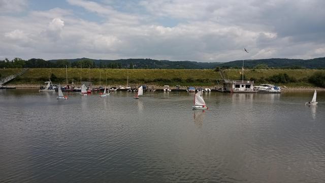 Sieben Kinder in ihren Optimist-Segeljollen auf dem Harenwasser.Am Steg schlagen zwei Jugendliche die Segel an einer Piratjolle an. Im Hintergrund das Siebengebirge