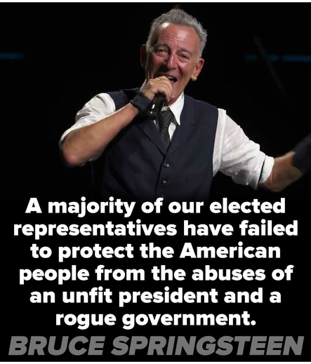 A majority of our elected representatives have failed to protect the American people from the abuses of an unfit president and a rogue government.

BRUCE SPRINGSTEEN