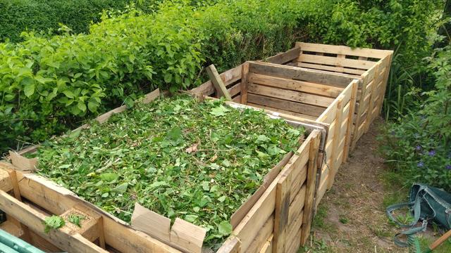 Drei Kompostmieten bestehend aus Bretterwänden, die sich an eine Hecke schmiegen. Die im Vordergrund befindliche ist bis zum Rand mit Grünschnitt gefüllt, die beiden dahinterliegenden sind leer. Jede Miete ist, da aus Europaletten konstruiert, 1,20m breit, 1,20m tief und 80cm hoch.