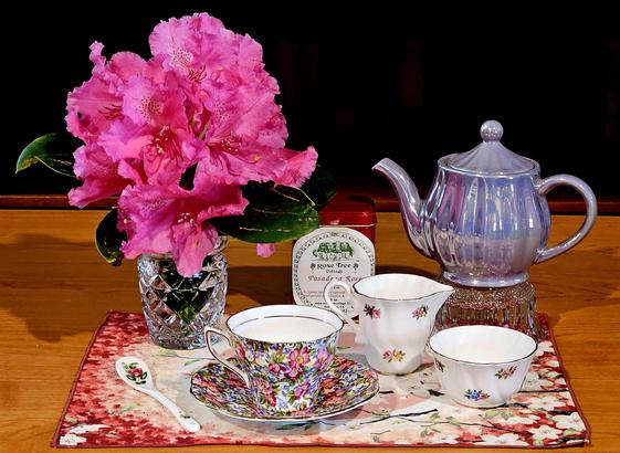 Tea tableau showcasing a fresh, very large, dark pink Pacific rhododendron, scientific name Rhododendron macrophyllum, blossom cluster in a Waterford crystal biscuit jar. There is vintage floral tea service in complementary patterns on a pink and red Japanese scarf as a tea towel, and an iridescent periwinkle blue teapot. The tea is Pasadena Rose black loose-leaf tea.