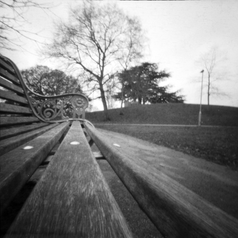 Photograph along a wooden park bench with the camera resting on the bench. Trees in the background blurred from the wind.