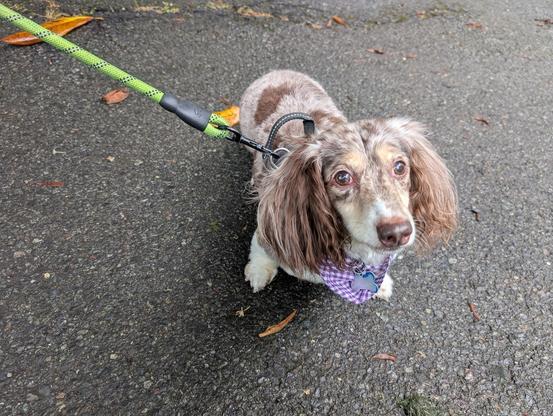 Such a handsome goodboi.