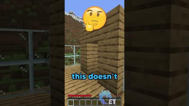 Can You Solve This ILLUSION in Minecraft?
