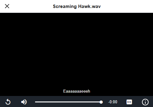 A wikipedia audio file player for "Screaming Hawk.wav" with the subtitle: "Eaaaaaaaaeeh"