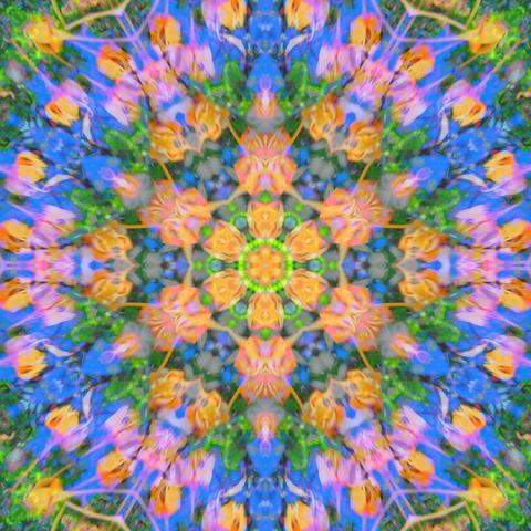 two mandalas mixed