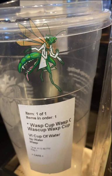 the drawing of dr. hyland as a jewel wasp from the six species meme edited into the starbucks venti cup of water (no water, wasp)