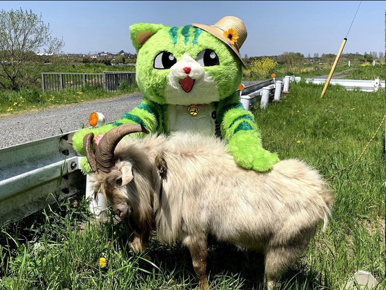 frens