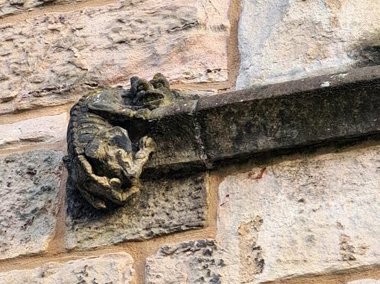 A skeletal animal on the facade of a Scottish university building.