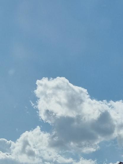 Una nuvola sembra la testa di un cagnolino  🐩🐶