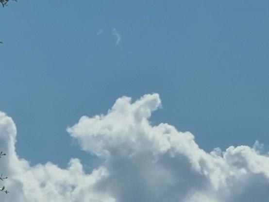 Una nuvola sembra la testa di un cagnolino  coniglio 🐰 🐇 o ti un topo 🐁🐭