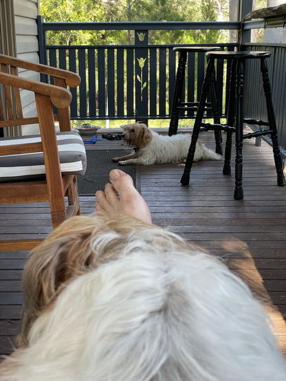 Sitting on a small veranda with one Jack Russell on my lap while the watches mummy from the floor.