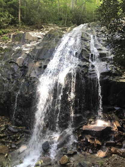 waterfall pouring over rocks in a green forest