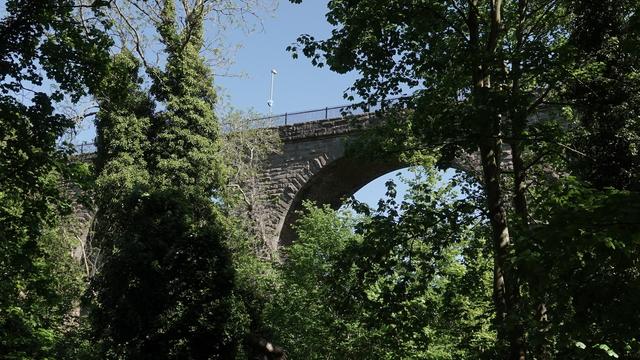 An old railway viaduct stretching left to right across a wooded valley with blue sky behind. Tall green trees fill the front and sides of the picture. Under the visible arch of the viaduct are dark shadows.