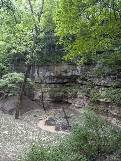 A giant sinkhole in a forest, the entire far side in layers of limestone in various shades of gray. The rich greenblue limestone water is flowing with mud on and in it to the right, where it sinks down. There is an entire tree stuck vertical in the sink, being swirled down like it's a wee twig in the ocean. Not safe for swimming!