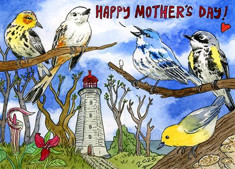 The watercolour Mother's Day 2025 card I made, featuring birds I saw so far this year! Cape May warbler, Scissor-tailed flycatcher, Cerulean warbler, and Yellow-rumped warbler!