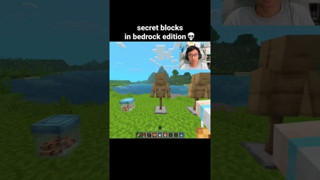 Minecraft Secret Blocks Moment