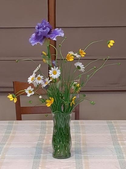 Vase of flowers on a table. There is one purple iris, with daisies and yellow wild flowers
