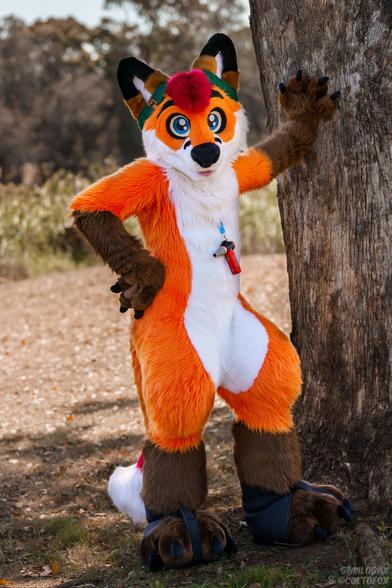 Colto Fox (tall orange, white, brown and red fox fursuiter) in full fursuit standing by a river with one hand paw leaving against a thick tree. There are some reeds behind him in the blurred distance and he's standing on grass. Colto is also wearing a green fursuit beanie on his head and a red Kica Jet fan is hanging off of a lanyard on his chest.