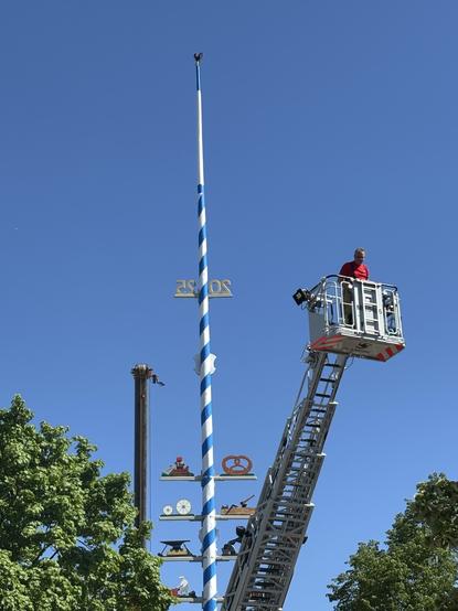 Vor wolkenlosem Himmel steht ein frisch aufgestellter Maibaum (erkennbar an der Jahreszahl), davor sieht man eine auf ca. die Hälfte ausgefahrene Feuerwehrleiter, an deren Ende sich ein Feuerwehrmann in dem Rettungskorb befindet. Links und rechts angeschnittene Bäume, das Geschehen am Boden und das Leiterfahrzeug sind nicht zu sehen.