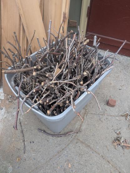 A grey bin full of similar sized sticks.