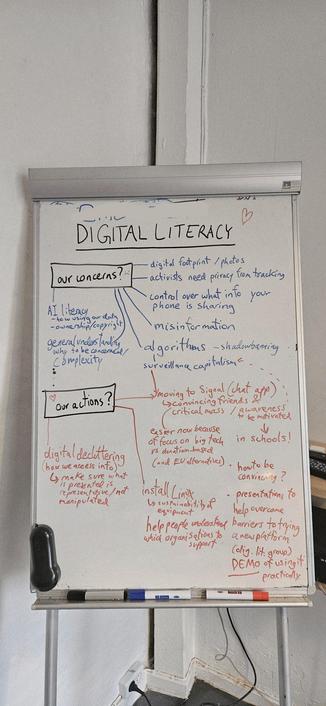 Whiteboard with handwritten text in black, blue and red: 
Digital literacy
Our concerns
Our actions