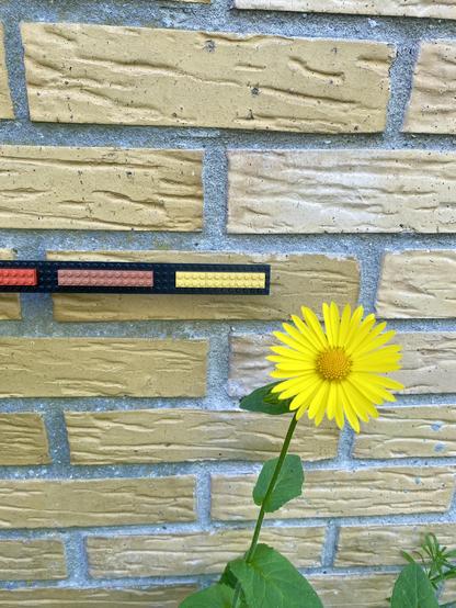 Yellow bricks and a flower