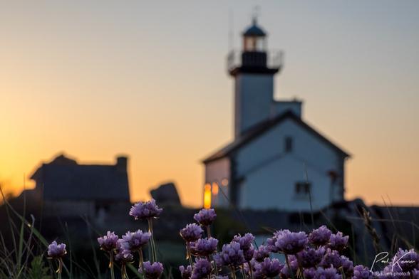 Photo en couleur présentant au premier plan, net, des fleurs d'armérie maritime au sommet du muret d''enceinte de la maison-phare de Pontusval, hors zone de netteté, alors que le soleil se couche derrière celle-ci dans un ciel sans nuage. De la maison-phare, on voit le pignon sud-est, alors que la tour du phare est construite au pignon nord-ouest. Le phare n'est pas encore allumé. Sur la gauche on peut voir la silhouette d'un petit bâtiment annexe et de gros rochers.