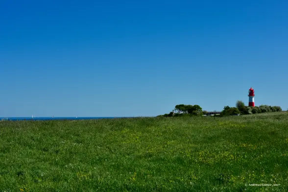 Hinter einer grünen Wiese mit vielen gelben Blumen erhebt sich in weiß und rot der Leuchtturm von Falshöft an der Geltinger Birk in den blauen, wolkenlosen Himmel. Hinter der Wiese ist das blaue Meer mit einigen weißen Segeln zu sehen.