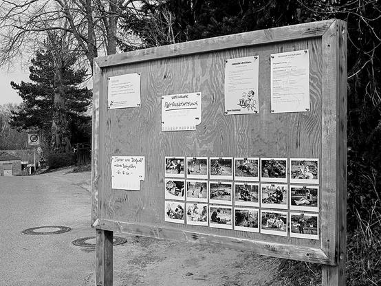 Dorfinformationsbrett mit Polaroids, die die Geschichte zwischen den Bildern erzählen. Manche sind die „Wahrheit“, andere „erlogen“.
