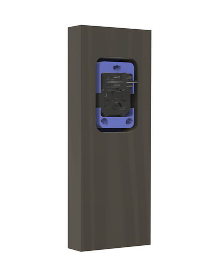 CAD rendering of the power inlet, from inside, with the two US outlets and the inner box removed.  There is a wooden board.  The back side of the outside bezel and the inlet module are protruding through a rectangular hole in the board.  There are 3 M3 screw holes in the bezel.