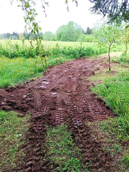 Extension of a path mowed through a meadow. Where there previosuly was uneven terrain and a deep ditch filled with gardening waste, there is now a relatively level area filled with leveled soil. Excavator tracks crisscross the filled area, compacting it.