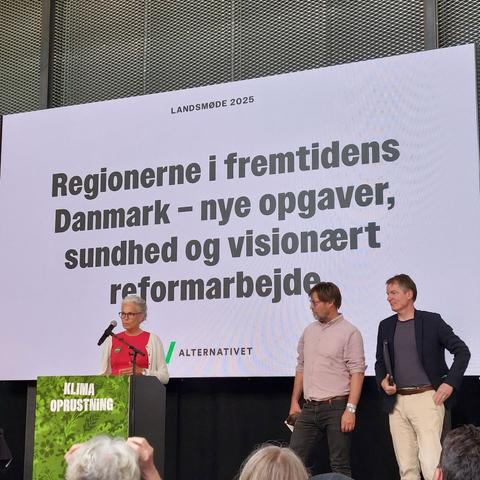 Mette Friis taler, mens Jeppe Spure Nielsen og Kim Hjerrild venter på deres tur. 

På baggrundsskærmen står der "Regionerne i Fremtidens Danmark - nye opgaver, sundhed og visionært reformarbejde.

I toppen står der "Landsmøde 2025" og i bunden er Alternativet's logo.