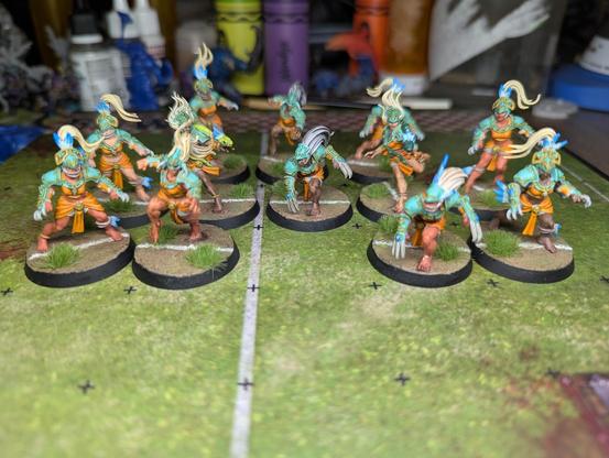 Cyan and orange Amazon blood bowl team. Nicely painted in striking colours. Ready to rain on many other people's parades
