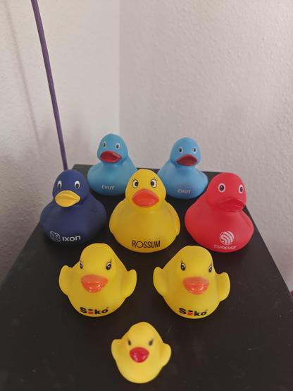 4 rows of rubber ducks sitting on top of a wooden surface. The back row contains two ducks in light blue color and a logo of ČVUT (Czech technical university). The next row is three ducks wide with logos of tech companies - dark blue Ixon, middle one yellow Rossum and third one red Espressif. In front of them are two yellow ducks from Siko stores (they sell bathroom stuff). One duck in front of all of them is really small without any brand name, but 3D printer geeks might recognize the one given out by Bigtreetech.