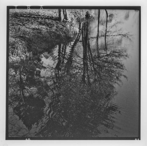 The image is a black and white photograph that captures a tranquil scene by the edge of a body of water. In the upper portion, we see a grassy and slightly muddy shoreline with a few tree trunks. The lower and central parts of the image feature water reflecting the trees and sky above. The reflection is distorted by ripples in the water, creating an abstract, wavy pattern that gives the image a dynamic and somewhat surreal quality. The photo appears to be taken on film and scaned of a darkroom print, as evidenced by the black border and visible edge markings at the top and bottom.