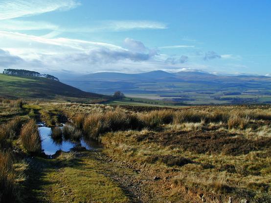 A lonely moorlnd track wwith tracto-track puddles, lookimg over a plain to distant hills. A tree covered hill slopes down from the left in the mid distance. The sky is blye with a little cloud cover floating around.