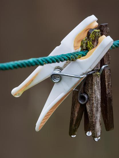 𝗣𝗶𝗰𝘁𝘂𝗿𝗲 𝗗𝗲𝘀𝗰𝗿𝗶𝗽𝘁𝗶𝗼𝗻 (𝗘𝗻𝗴): I'm showing an image of some clothespins on an outdoor clothesline, soaked by the abundant rains of the last days of winter in Spain. It's a very close-up shot with dull, sad colors: you can see three clothespins on a green rope, two wooden and one plastic, with water droplets suspended at their ends, about to fall, in whose reflection you can make out the trees in the garden.

𝗗𝗲𝘀𝗰𝗿𝗶𝗽𝗰𝗶𝗼́𝗻 (𝗘𝘀𝗽): Muestro una fotografía de unas pinzas de la ropa en un tendedero al aire libre, empapadas por las abundantes lluvias de los últimos días del invierno en España. Es un primerísimo plano con colores apagados y tristes: se ven tres pinzas de la ropa en una cuerda verde, dos de madera y una de plástico, con gotas de agua suspendidas en sus extremos, a punto de caer, en cuyo reflejo se pueden distinguir los árboles del jardín.